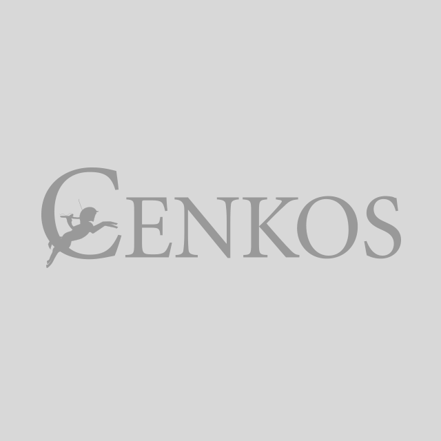 Cenkos Securities