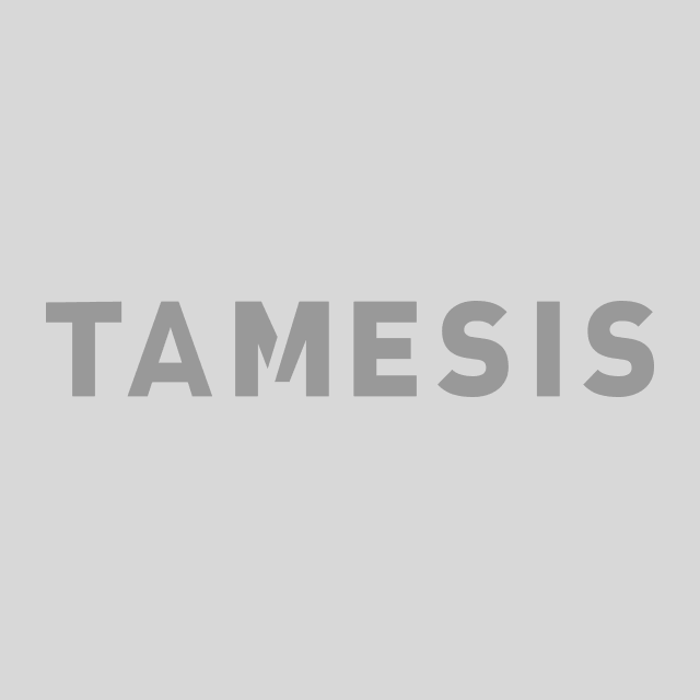 Tamesis Partners