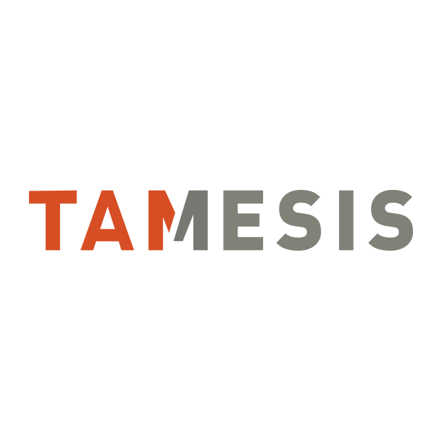 Tamesis Partners